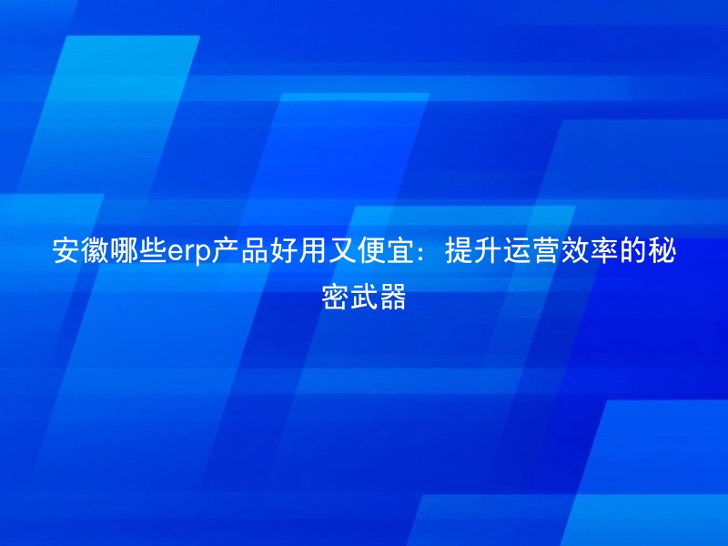 安徽哪些erp产品好用又便宜：提升运营效率的秘密武器