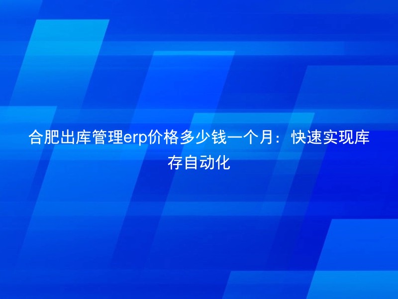 合肥出库管理erp价格多少钱一个月：快速实现库存自动化