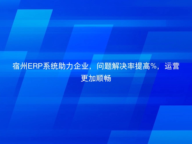 宿州ERP系统助力企业，问题解决率提高%，运营更加顺畅
