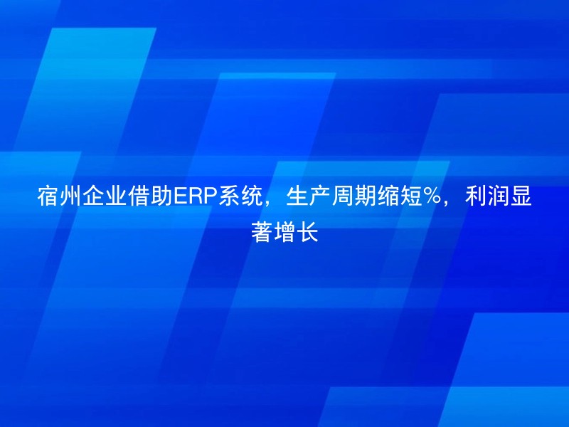 宿州企业借助ERP系统，生产周期缩短%，利润显著增长