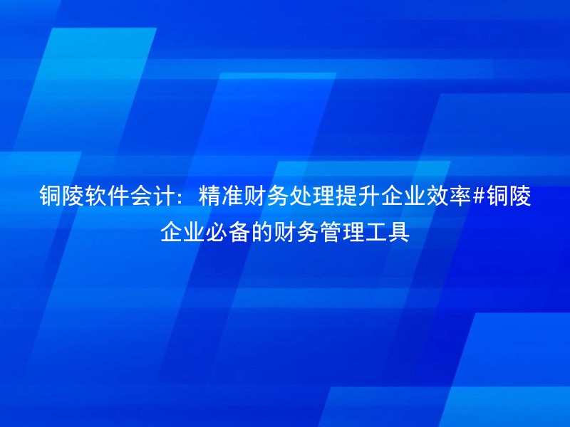 铜陵软件会计：精准财务处理提升企业效率#铜陵企业必备的财务管理工具