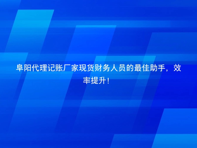 阜阳代理记账厂家现货财务人员的最佳助手，效率提升！