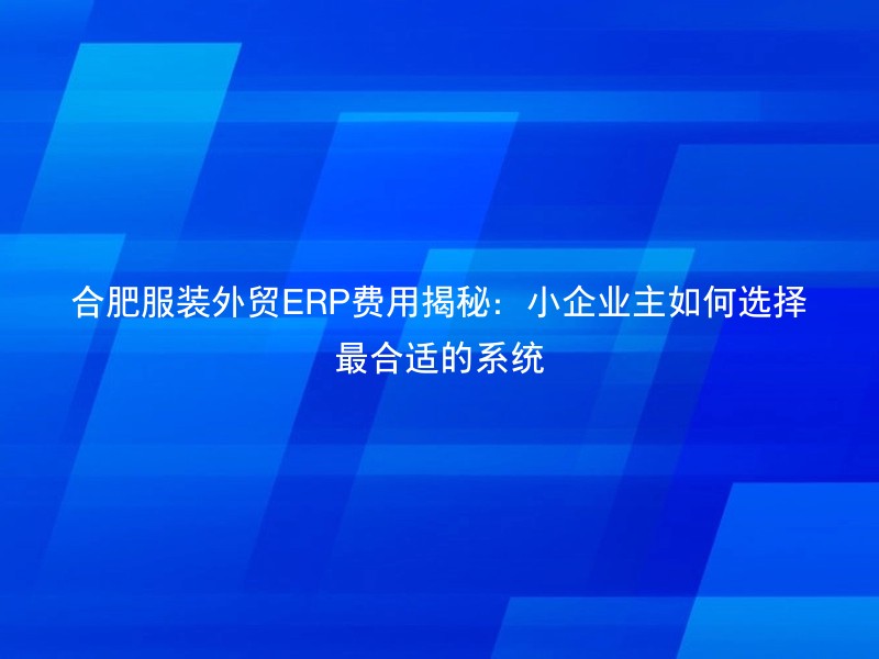 合肥服装外贸ERP费用揭秘：小企业主如何选择最合适的系统