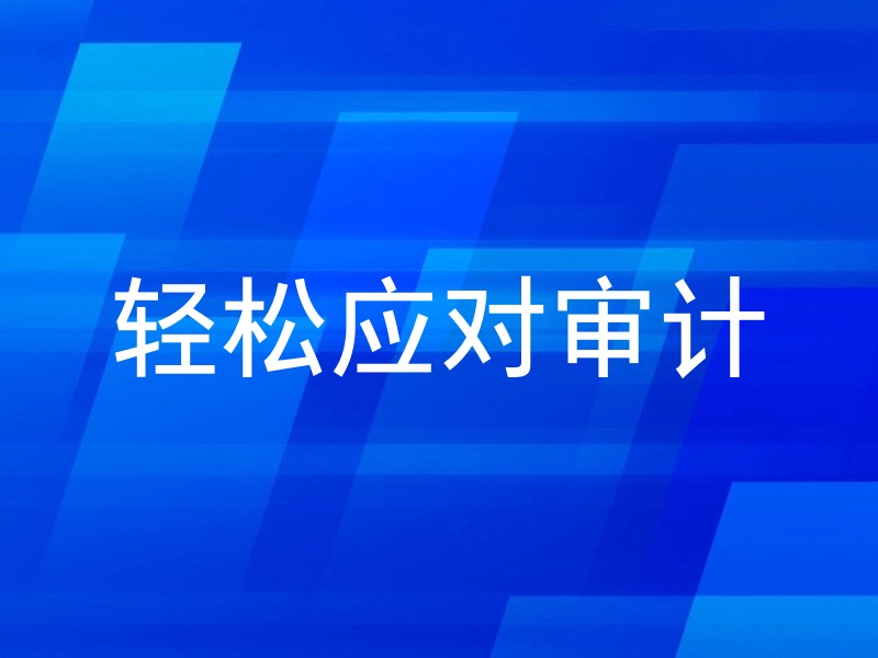 轻松应对审计