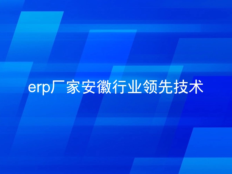 erp厂家安徽行业领先技术
