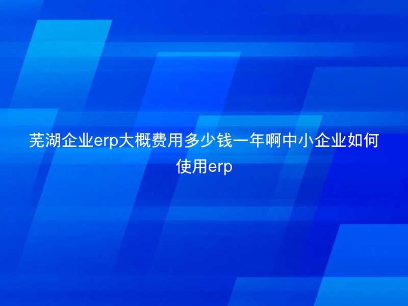 芜湖企业erp大概费用多少钱一年啊中小企业如何使用erp