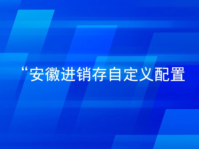 “安徽进销存自定义配置
