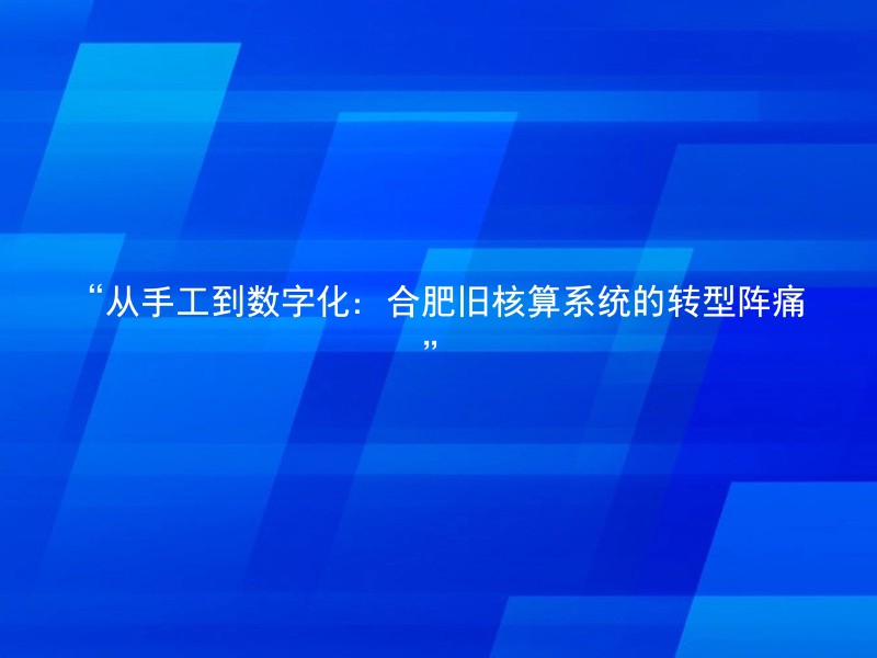 “从手工到数字化：合肥旧核算系统的转型阵痛”