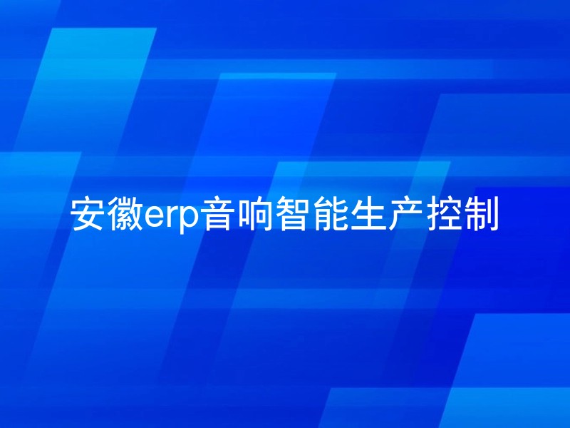安徽erp音响智能生产控制