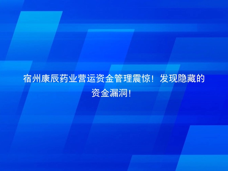 宿州康辰药业营运资金管理震惊！发现隐藏的资金漏洞！