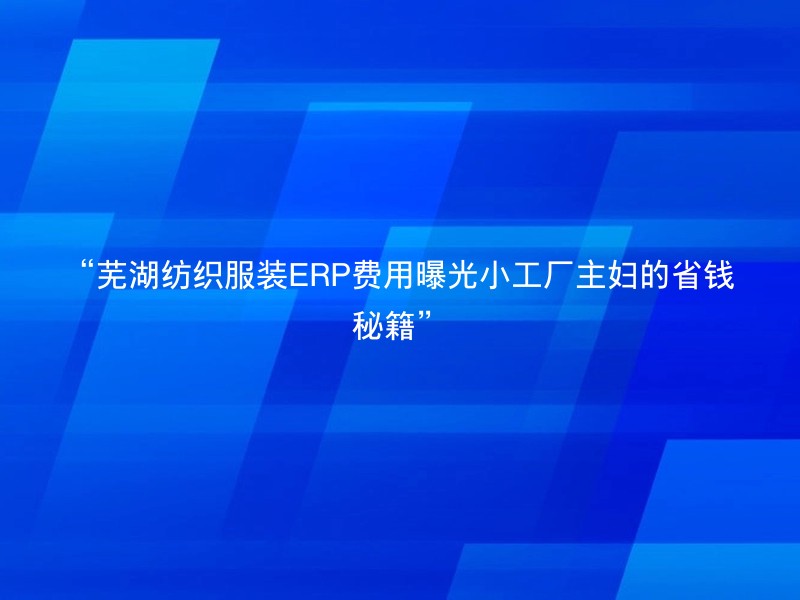“芜湖纺织服装ERP费用曝光小工厂主妇的省钱秘籍”
