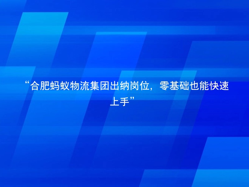 “合肥蚂蚁物流集团出纳岗位，零基础也能快速上手”