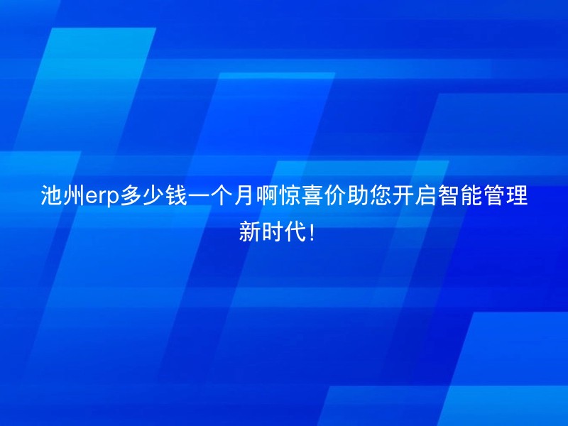 池州erp多少钱一个月啊惊喜价助您开启智能管理新时代！