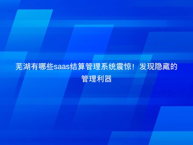 芜湖有哪些saas结算管理系统震惊！发现隐藏的管理利器