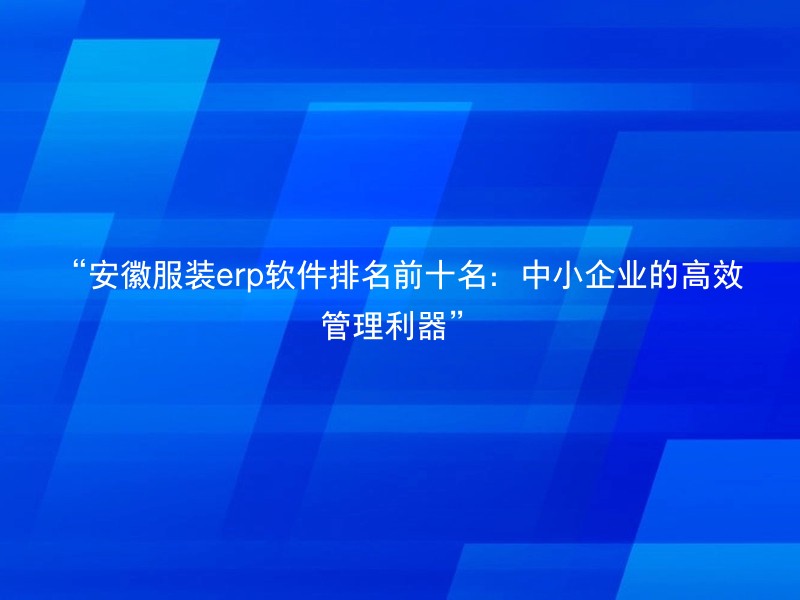 “安徽服装erp软件排名前十名：中小企业的高效管理利器”