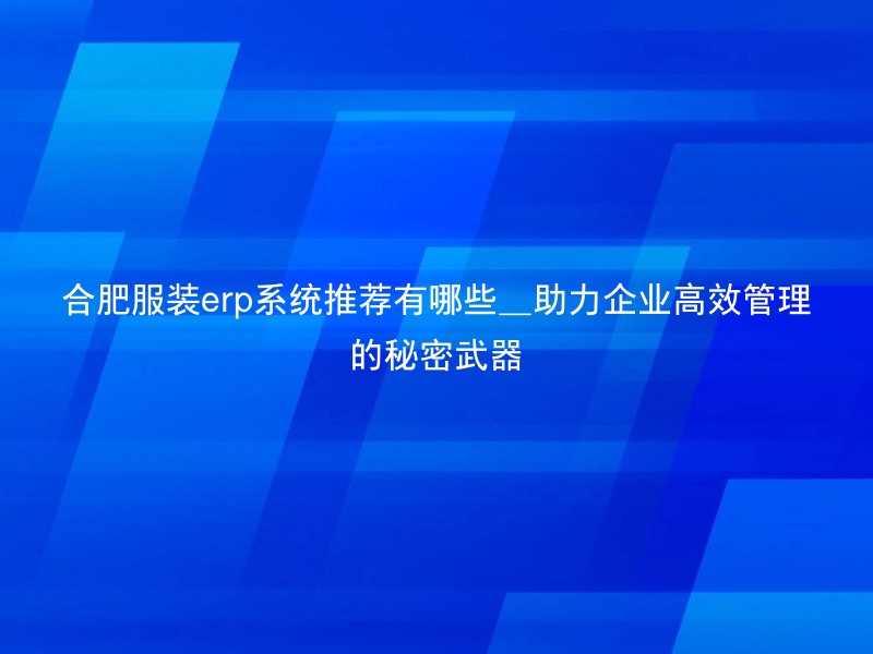 合肥服装erp系统推荐有哪些_助力企业高效管理的秘密武器