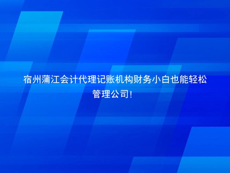 宿州蒲江会计代理记账机构财务小白也能轻松管理公司！