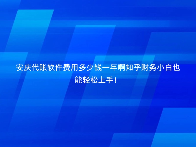 安庆代账软件费用多少钱一年啊知乎财务小白也能轻松上手！