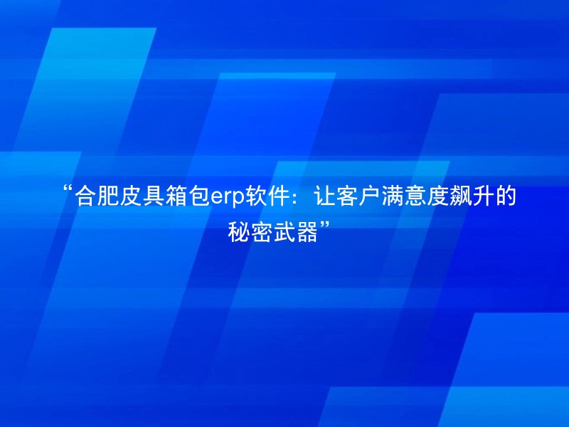 “合肥皮具箱包erp软件：让客户满意度飙升的秘密武器”