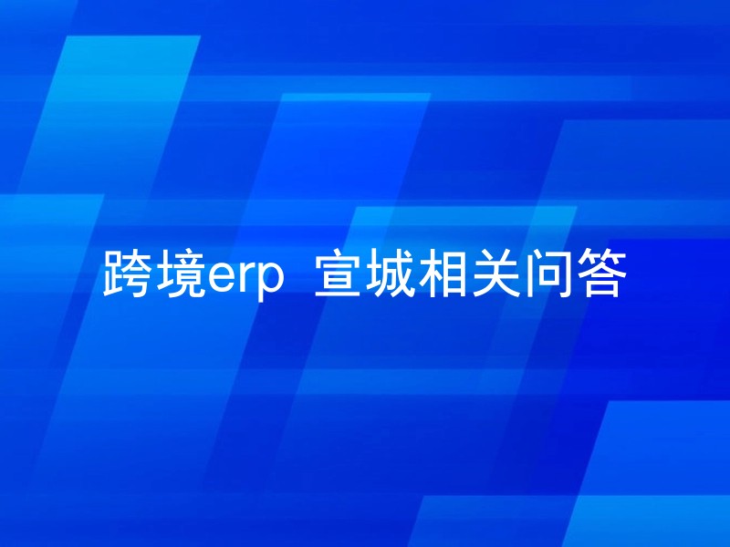 跨境erp 宣城相关问答
