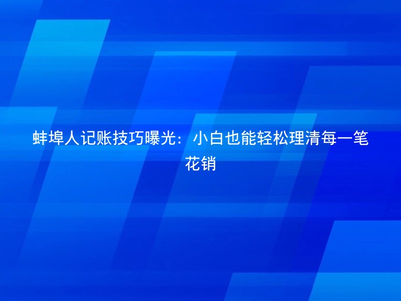 蚌埠人记账技巧曝光：小白也能轻松理清每一笔花销