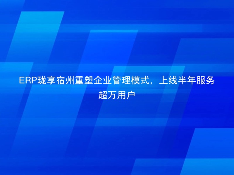 ERP珑享宿州重塑企业管理模式，上线半年服务超万用户