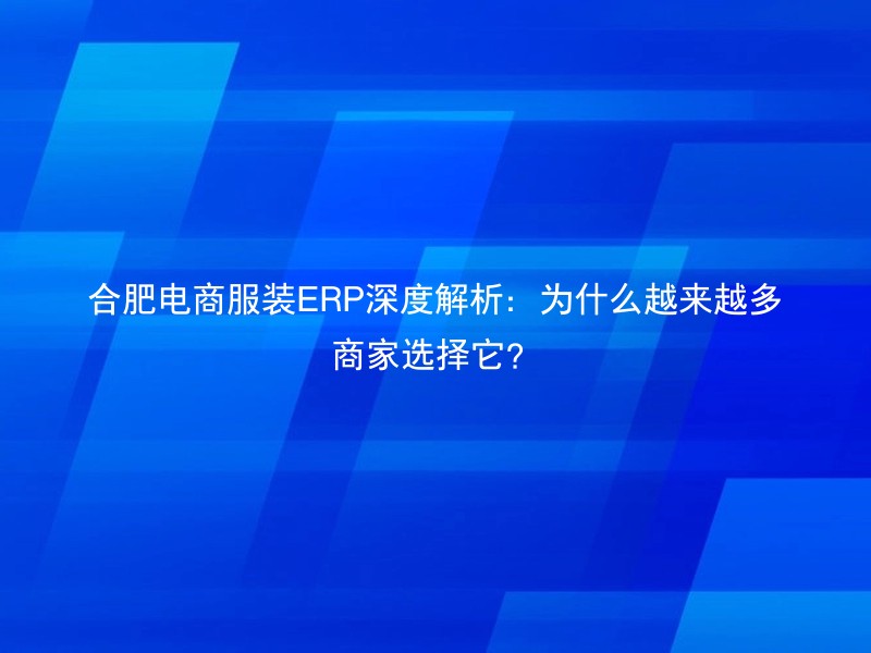 合肥电商服装ERP深度解析：为什么越来越多商家选择它？